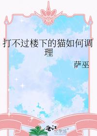 打不过楼下的猫如何调理